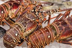 AI Lobster